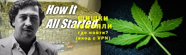 молекула духа Новокубанск