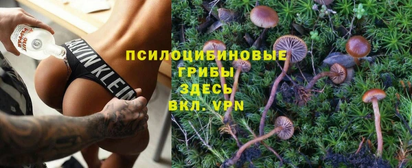 каннабис Новозыбков