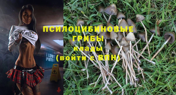молекула духа Новокубанск