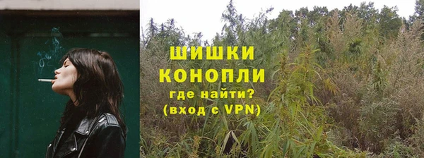 каннабис Новозыбков