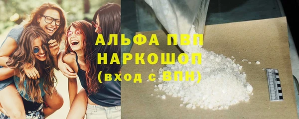 молекула духа Новокубанск