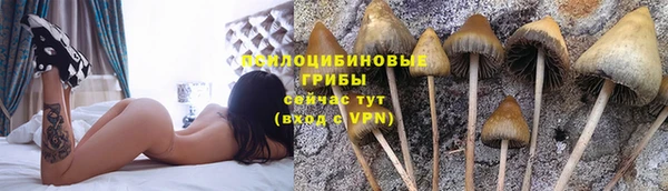спайс Новодвинск