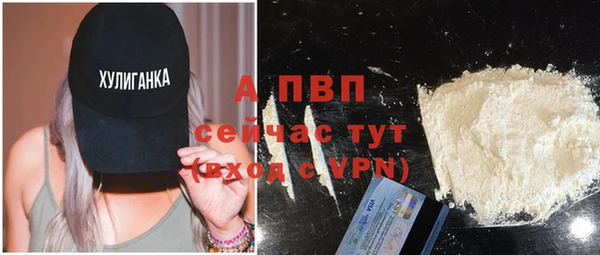 молекула духа Новокубанск