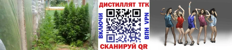ТГК гашишное масло Алагир