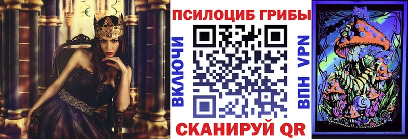 Псилоцибиновые грибы MAGIC MUSHROOMS  магазин    Алагир 